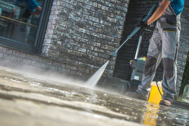 Best Sidewalk and Walkway Cleaning  in Blackshear, GA